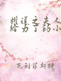 权道之夫人们太给力了的小说