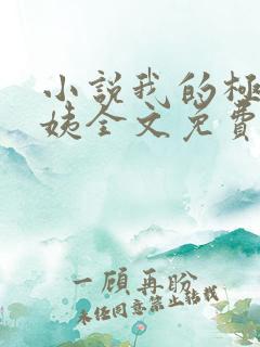 小说我的极品小姨全文免费阅读
