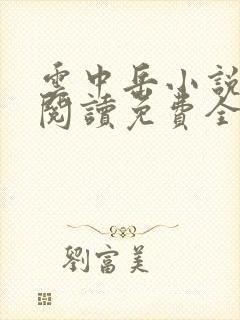 云中岳小说在线阅读免费全文