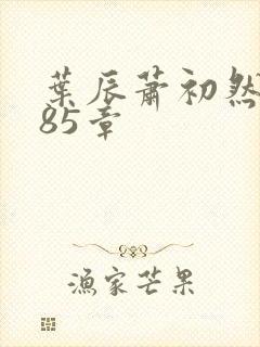 叶辰萧初然2085章