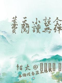 叶天小说全文免费阅读无弹窗