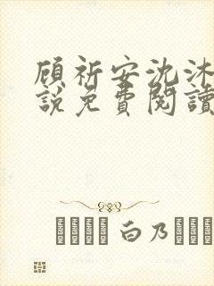 顾祈安沈沐婉小说免费阅读最新章节