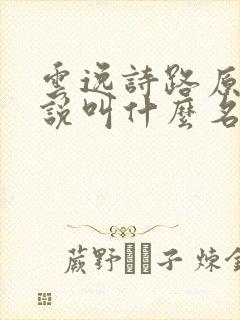 云逸诗路原著小说叫什么名字