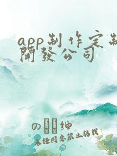 app制作定制开发公司