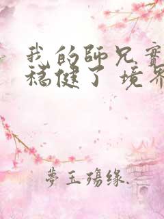 我的师兄实在太稳健了 境界划分