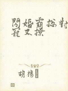 闪婚霸总对我又宠又撩