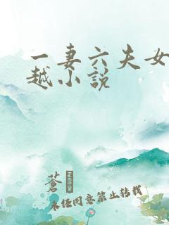 一妻六夫女主穿越小说