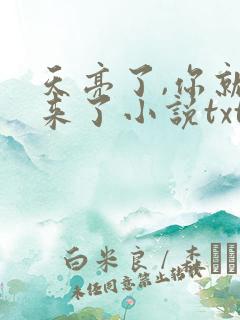 天亮了,你就回来了小说txt下载