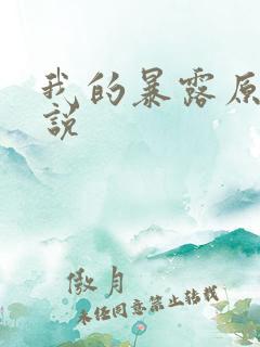 我的暴露原著小说
