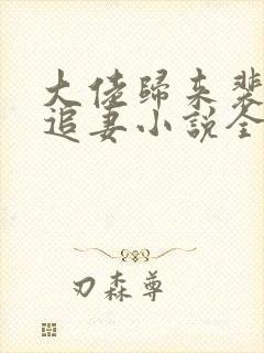 大佬归来裴律师追妻小说全文阅读