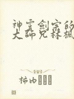 神霄剑宗的废材大师兄林枫