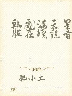 韩剧满天星完整版在线观看