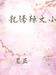 龙腾辣文小说网