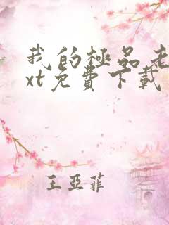 我的极品老婆txt免费下载