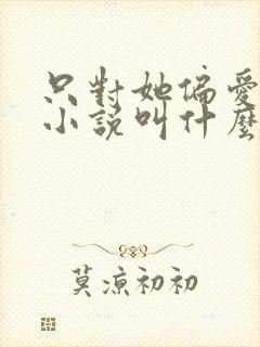 只对她偏爱原著小说叫什么名字