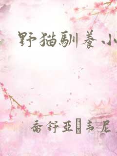 野猫驯养小说