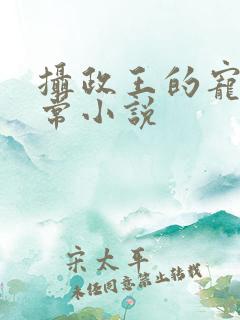 摄政王的宠妻日常小说