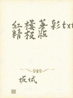 红楼华彩txt精校版