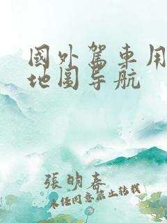 国外驾车用什么地图导航