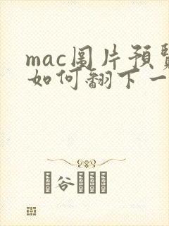 mac图片预览如何翻下一张