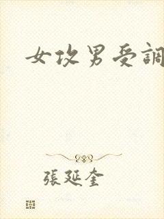 女攻男受调教文