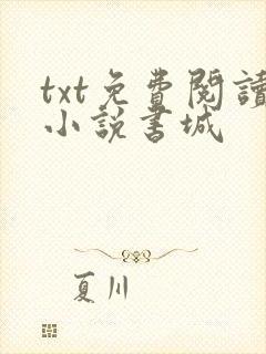 txt免费阅读小说书城