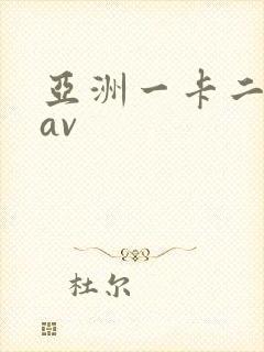 亚洲一卡二不卡av