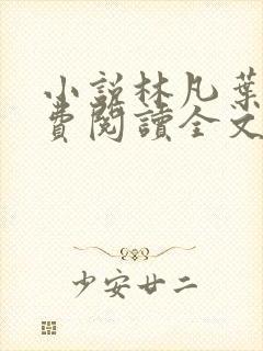 小说林凡叶惜免费阅读全文最新