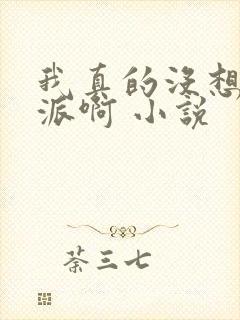 我真的没想当反派啊 小说