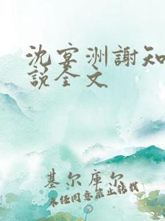 沈宴洲谢知意小说全文