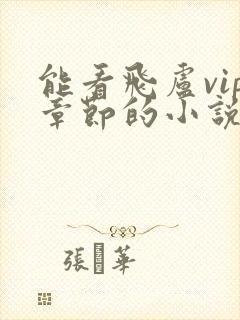 能看飞卢vip章节的小说软件