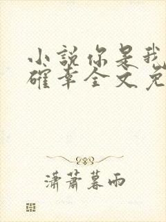 小说你是我的小确幸全文免费阅读