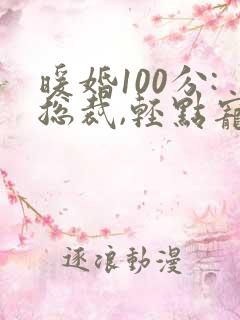 暖婚100分:总裁,轻点宠小说