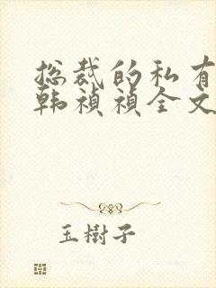 总裁的私有宝贝韩祯祯全文免费阅读