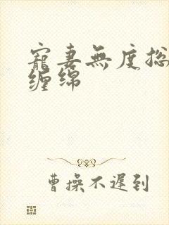 宠妻无度总裁狠缠绵
