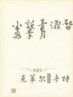 小说青涩启蒙张勇李月