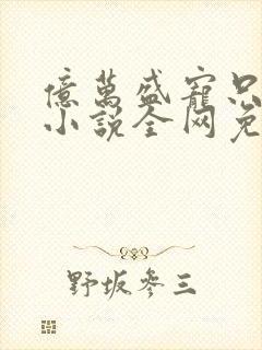 亿万盛宠只为你小说全网免费