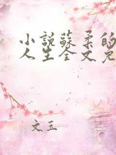 小说苏柔的风流人生全文免费阅读