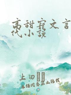高甜宠文言情现代小说