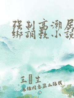 强制高潮屈辱捆绑调教小说