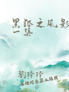 黑狐之风影最后一集
