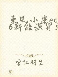 东风小康ec36新能源货车