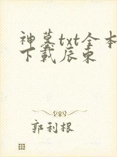 神墓txt全本下载辰东