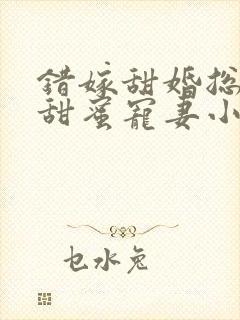 错嫁甜婚总裁的甜蜜宠妻小说