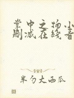 掌中之物小说未删减在线看