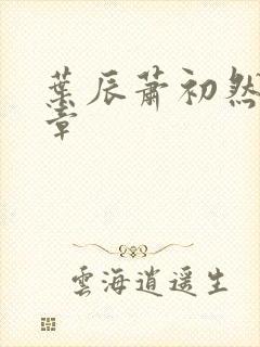 叶辰萧初然最快章