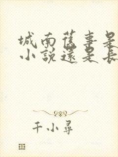 城南旧事是短篇小说还是长篇小说
