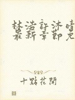 林浩许沐晴小说最新章节免费阅读全文