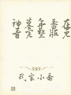 神墓年番在线观看完整版免费观看