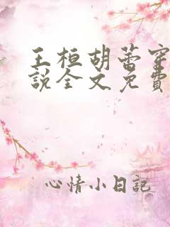 王桓胡蕾穿越小说全文免费阅读